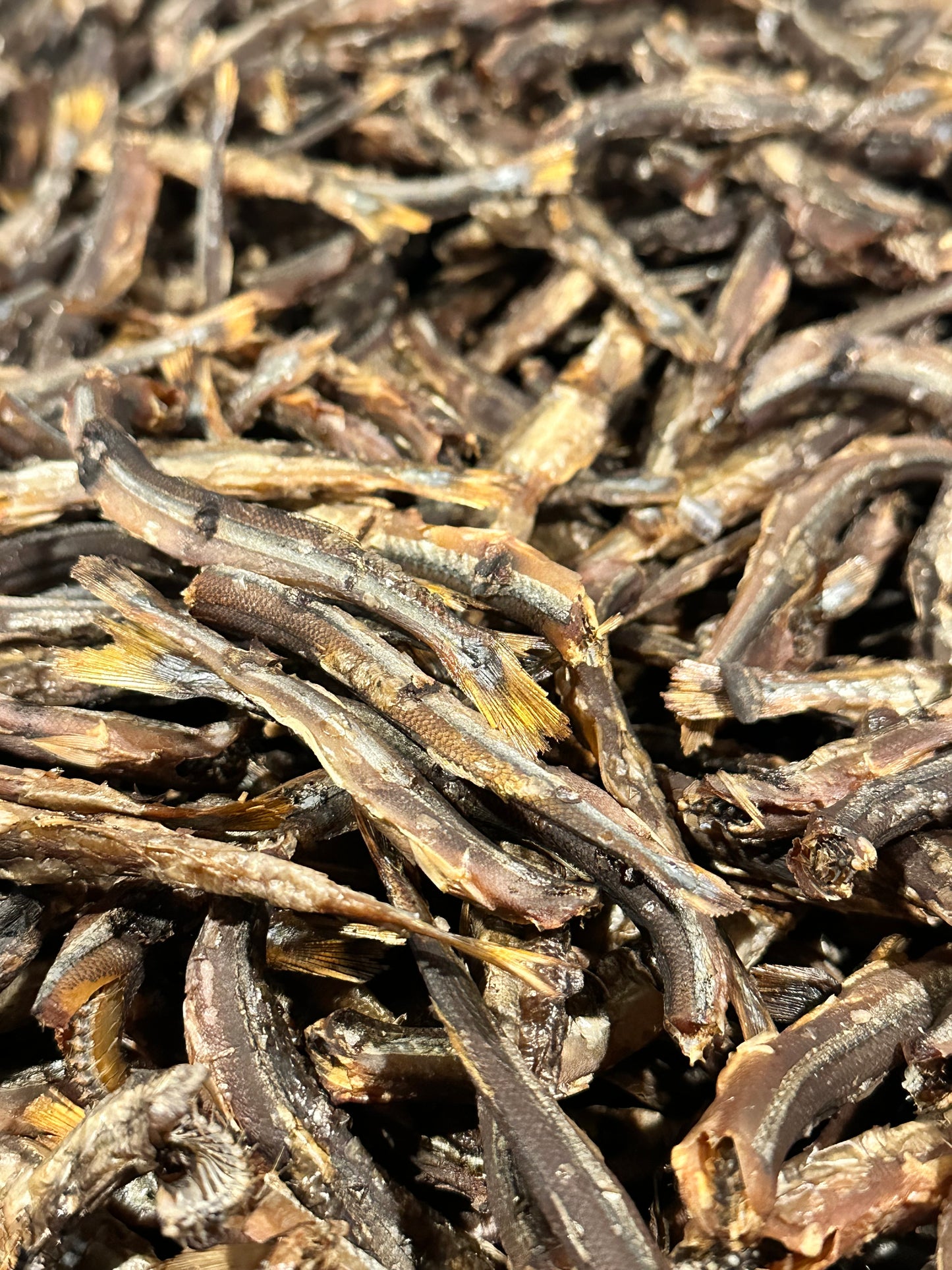 Smoked Guppies - 20 count