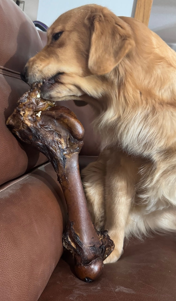Smoked Marrow Bone